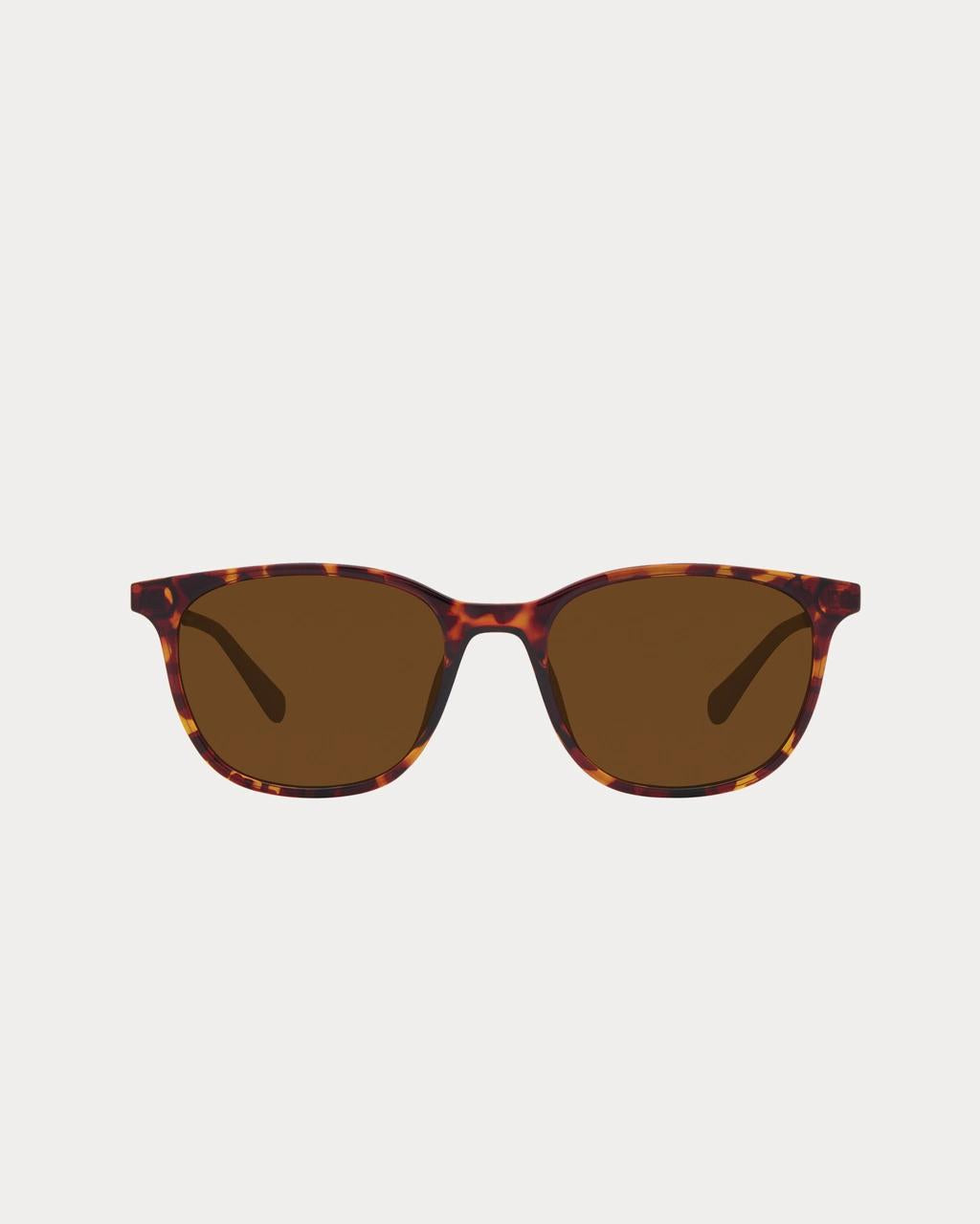 Pearl Haven Sunglasses - Dark Tortoise