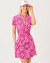 Pink Aster The Casbah Allover