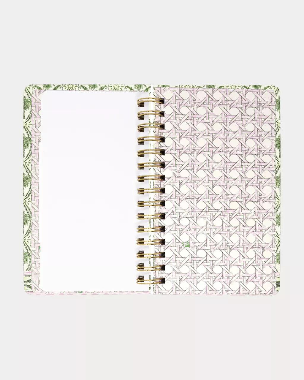 2027 Medium 12 Month Agenda - Coconut
