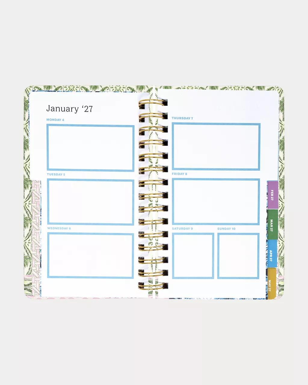 2027 Medium 12 Month Agenda - Coconut